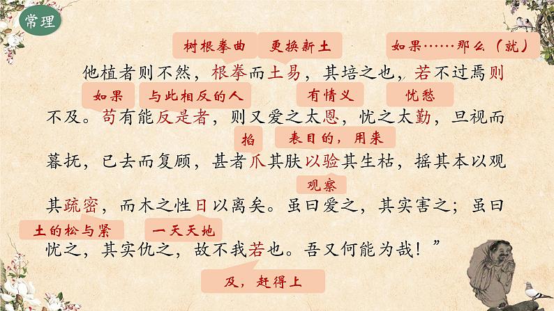 种树郭橐驼传 课件第6页