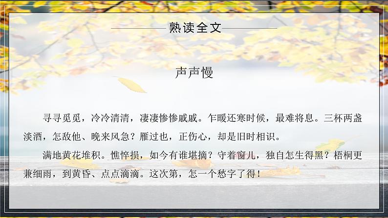 声声慢·寻寻觅觅 课件06