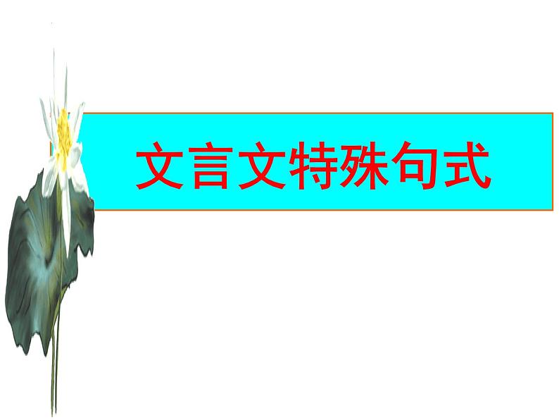 2023届高考专题复习:文言文特殊句式 课件第1页