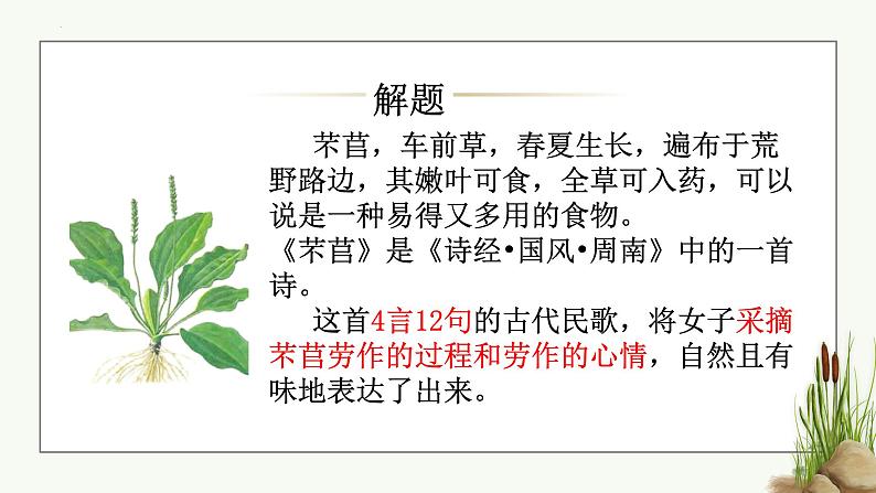 2022-2023学年部编版高中语文必修上册6《芣苢》《插秧歌》联读 课件08