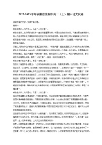 2022-2023学年安徽省芜湖市高一（上）期中语文试卷-普通用卷