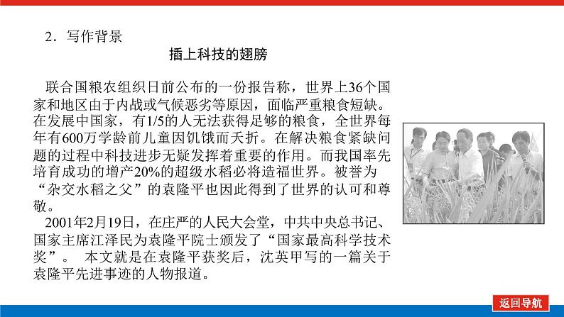 高一年级新教材部编版语文必修上册课件:第4课 喜看稻菽千重浪——记首届国家最高科技奖获得者袁隆平06