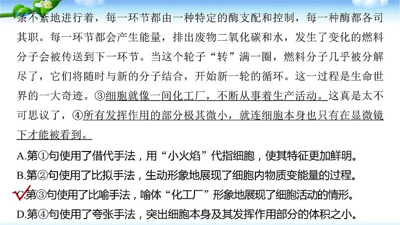 高考语文复习--正确使用修辞手法(掌握修辞手法的构成及表达效果)课件PPT05