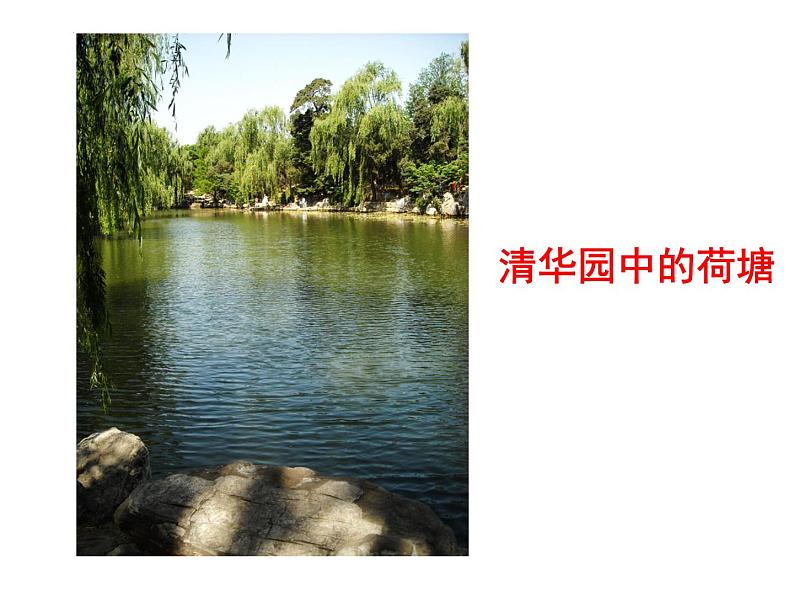 14.2《荷塘月色》课件 2022-2023学年统编版高中语文必修上册第8页