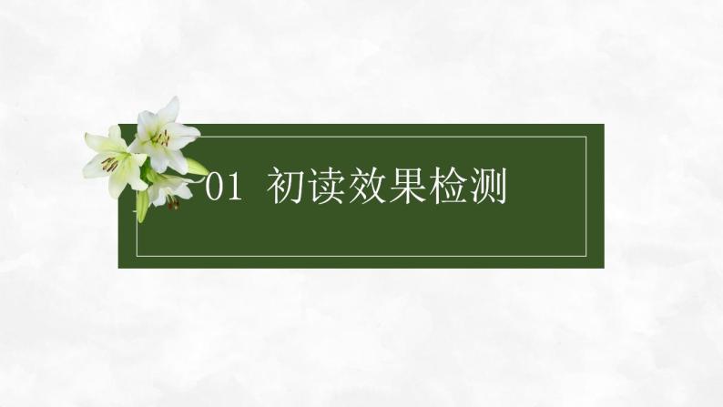3.1《百合花》课件022-2023学年统编版高中语文必修上册03