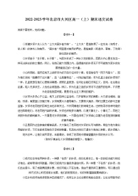 2022-2023学年北京市大兴区高一（上）期末语文试卷（含答案解析）