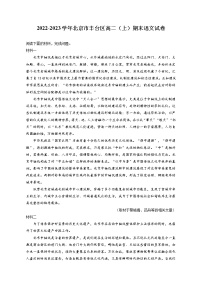 2022-2023学年北京市丰台区高二（上）期末语文试卷（含答案解析）