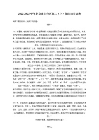 2022-2023学年北京市丰台区高三（上）期末语文试卷（含答案解析）