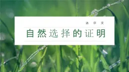 第四單元13.1《自然選擇的證明》課件PPT+送教案
