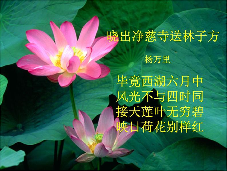 14.2《荷塘月色》课件 2022-2023学年统编版高中语文必修上册第3页