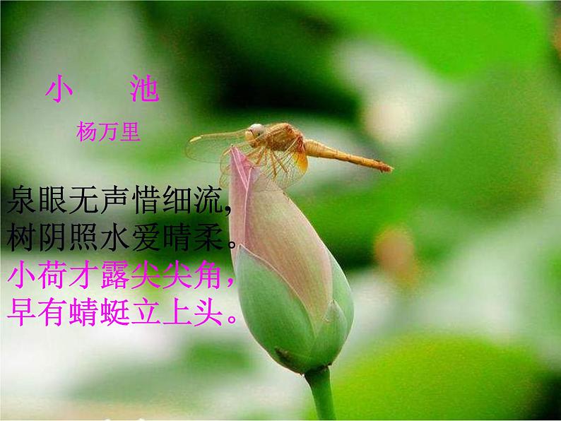 14.2《荷塘月色》课件 2022-2023学年统编版高中语文必修上册第4页