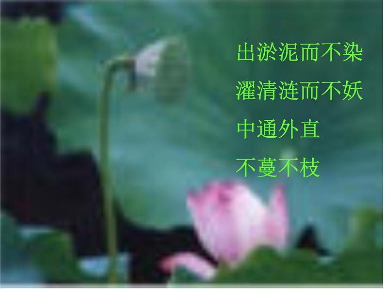 14.2《荷塘月色》课件 2022-2023学年统编版高中语文必修上册第5页