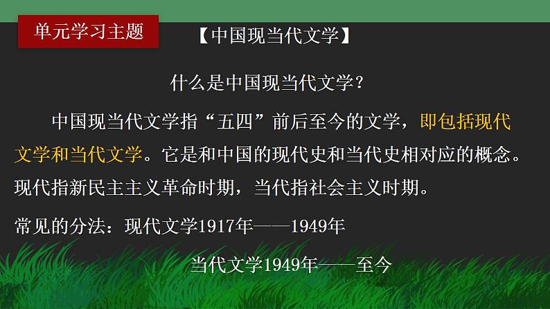 5.1《阿Q正传(节选)》课件统编版高中语文选择性必修下册03