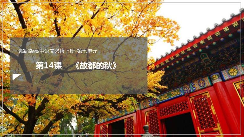 14.1《故都的秋》课件+教案+学案01