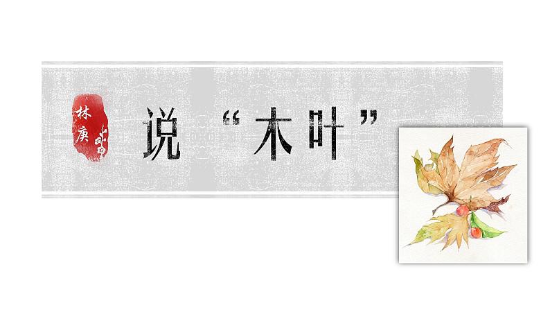 第12课《说木叶》课件第8页