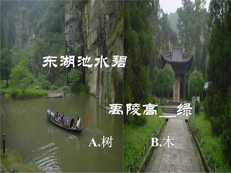 9《说“木叶”》课件2022—2023学年统编版高中语文必修下册01
