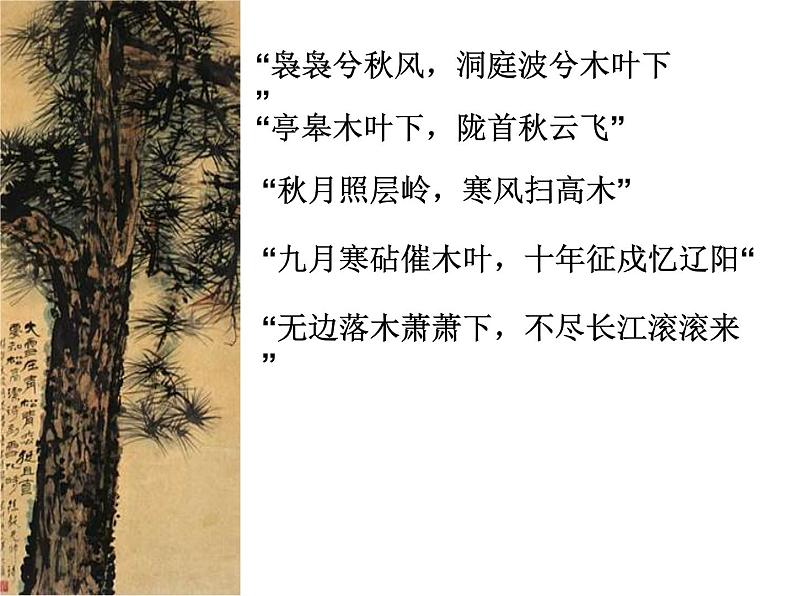 9《说“木叶”》课件2022—2023学年统编版高中语文必修下册02