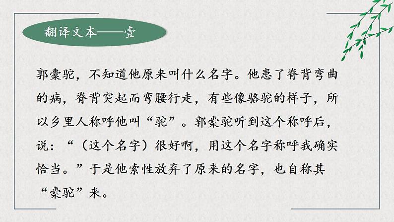 《种树郭橐驼传》课件PPT第8页