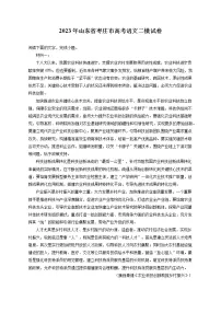 2023年山东省枣庄市高考语文二模试卷(含答案解析)