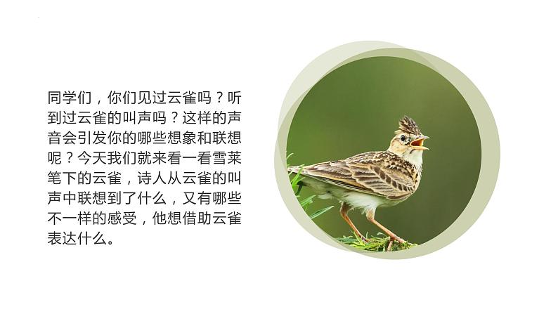 2.4《致云雀》课件 2022-2023学年统编版高中语文必修上册02