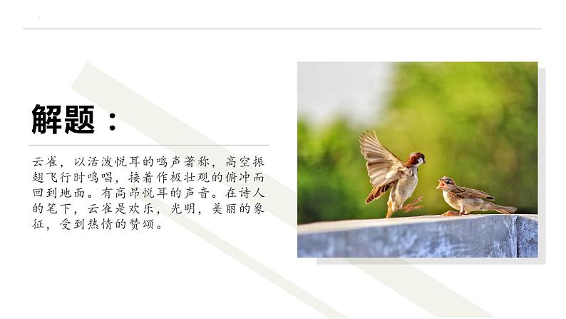 2.4《致云雀》课件 2022-2023学年统编版高中语文必修上册07