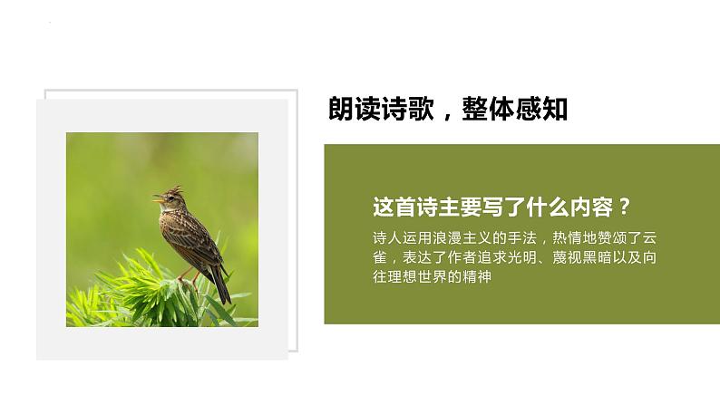 2.4《致云雀》课件 2022-2023学年统编版高中语文必修上册08