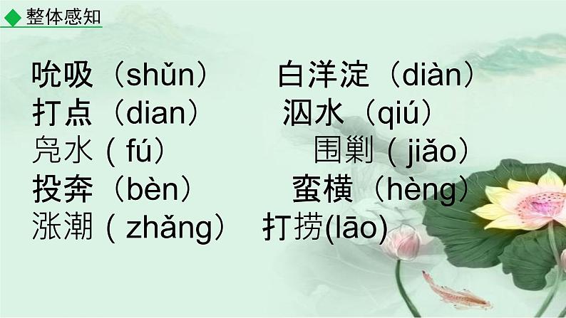 统编版高中语文选择性必修中册《荷花淀》课件第7页