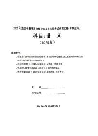 2023年湖南省普通高中学业水平合格性考试仿真试卷（专家版四）语文试卷