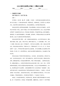 2023届河北省唐山市高三三模语文试题（含答案）