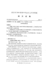 2019届湖北省武汉市高三5月模拟训练语文试卷 PDF版