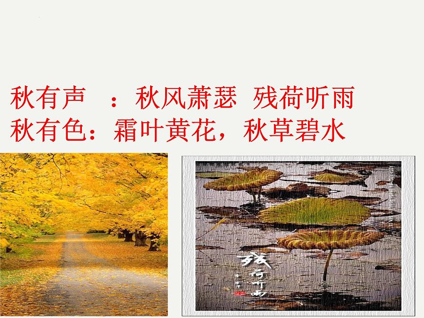《故都的秋》課件2022-2023學(xué)年統(tǒng)編版高中語文必修上冊第8頁