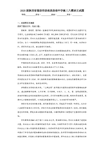 2023届陕西省商洛市洛南县洛南中学高三八模语文试题（含解析）