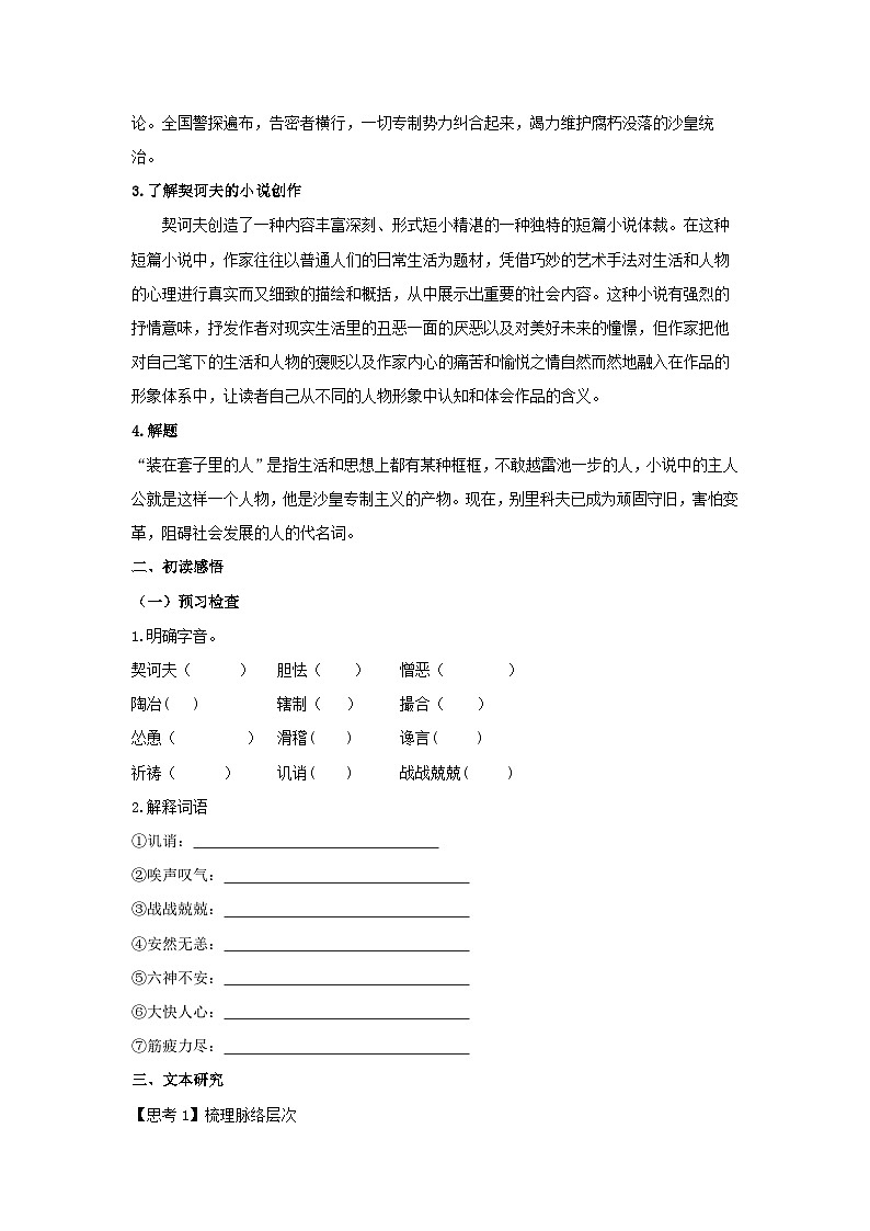 13.2 《装在套子里的人》(学案)02
