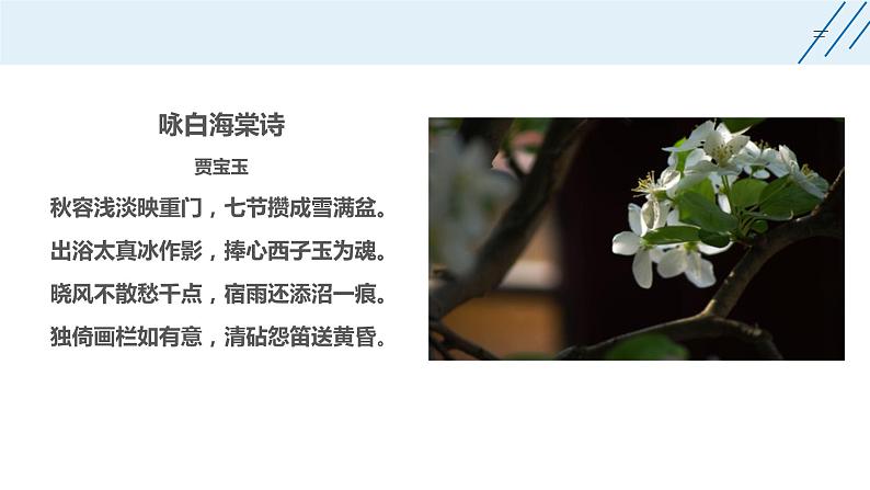 《红楼梦》整本书阅读7:专题研讨:欣赏小说人物创作的诗词(教学课件)第3页