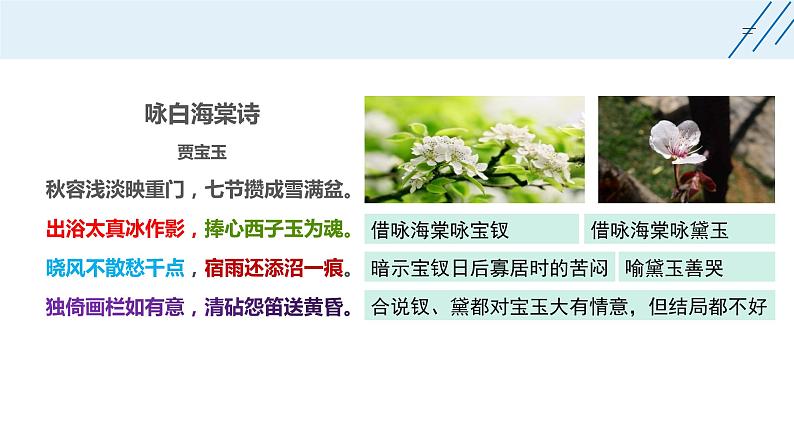 《红楼梦》整本书阅读7:专题研讨:欣赏小说人物创作的诗词(教学课件)第4页