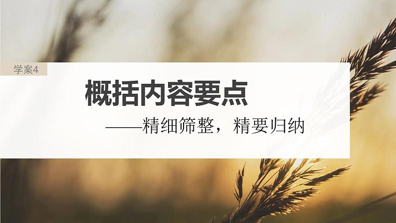 高考语文一轮复习-- 概括内容要点——精细筛整,精要归纳(精品课件)第2页