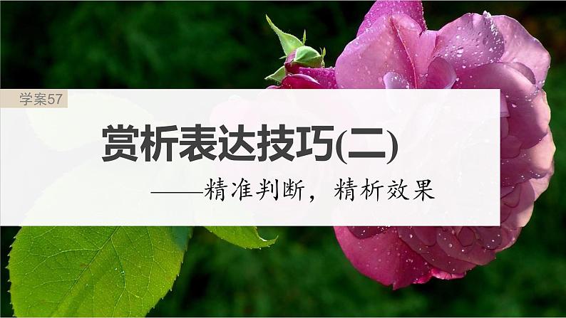 高考语文一轮复习-- 古诗词阅读与鉴赏 课时57 赏析表达技巧(二)——精准判断,精析效果(精品课件)02