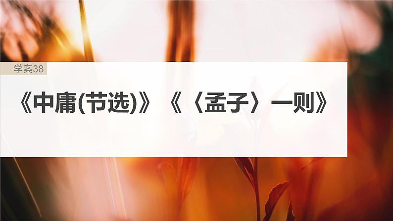 高考语文一轮复习-- 教材内文言文复习 课时38 《中庸(节选)》《〈孟子〉一则》(精品课件)第2页