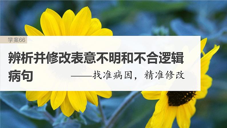 高考语文一轮复习--语言基础 课时66 辨析并修改表意不明和不合逻辑病句——找准病因,精准修改(精品课件)02