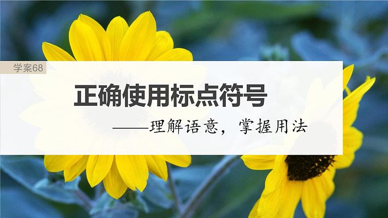 高考语文一轮复习--语言基础 课时68 正确使用标点符号——理解语意,掌握用法(精品课件)第2页