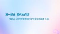 廣東專用2024版高考語文大一輪總復(fù)習(xí)第一部分現(xiàn)代文閱讀專題二走向?qū)徝黎b賞的文學(xué)類文本閱讀_小說課件