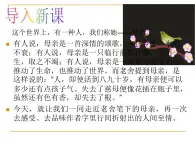 【中職專用】高中語文 人教版  基礎(chǔ)模塊上冊  4《我的母親》課件