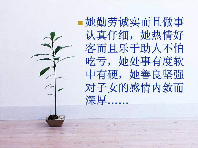 【中职专用】高中语文 人教版 基础模块上册 4《我的母亲》课件08