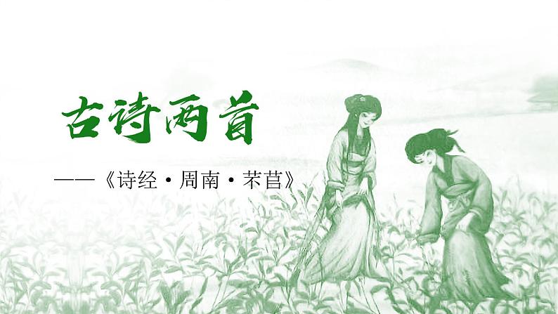 人教统编版高中语文必修上册第二单元 6《芣苢》《插秧歌》同步教学课件+练习03