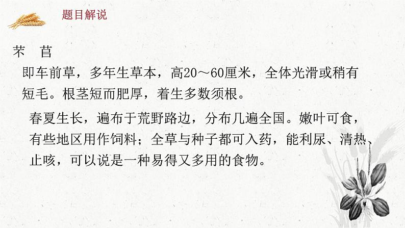 人教统编版高中语文必修上册第二单元 6《芣苢》《插秧歌》同步教学课件+练习08