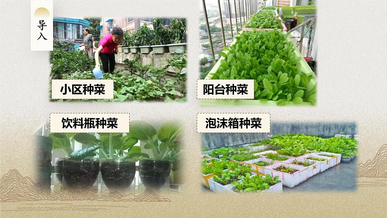 第五单元 整本书阅读《乡土中国》 (1)课件+教案04