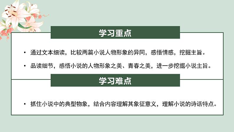 高中语文部编版必修上册 《百合花》《哦,香雪》课件PPT03