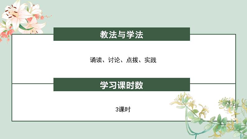 高中语文部编版必修上册 《百合花》《哦,香雪》课件PPT04