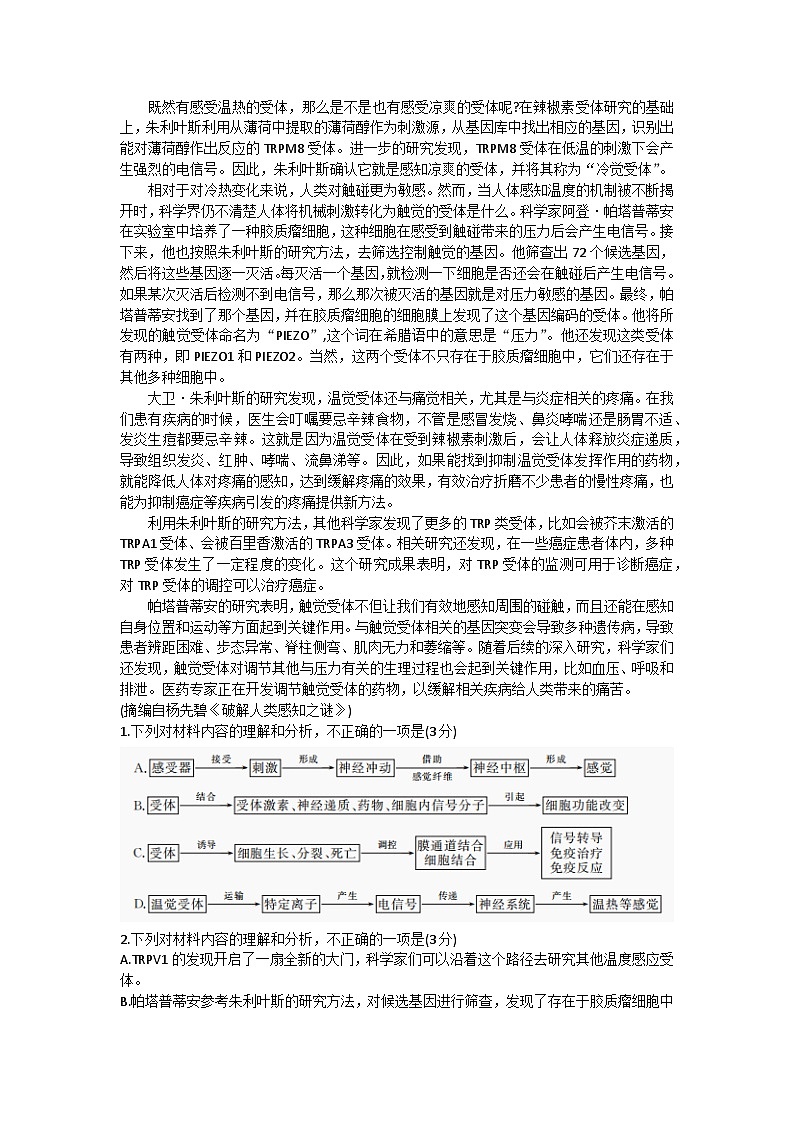 湖北省武汉市江汉区2023-2024学年高二语文上学期开学摸底考试试题(Word版附解析)02