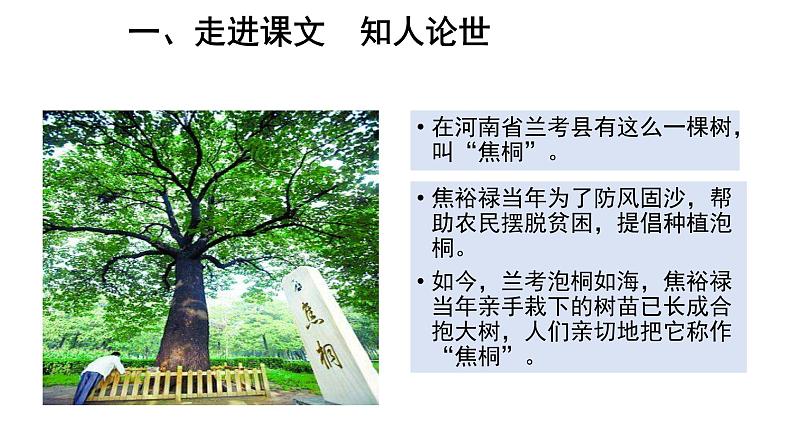 统编版高中语文选择性必修上册--_第一单元_县委书记的好榜样--焦裕禄(一)-课件第4页